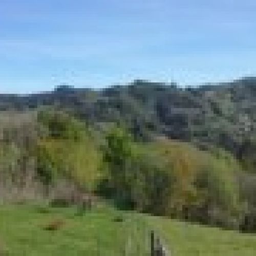 Finca edificable en CABRANES  (FIN