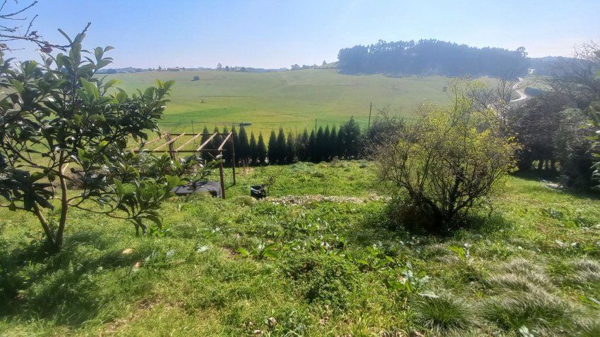 6ca037c185085c37cf01a16d9694b885c68cb2b2