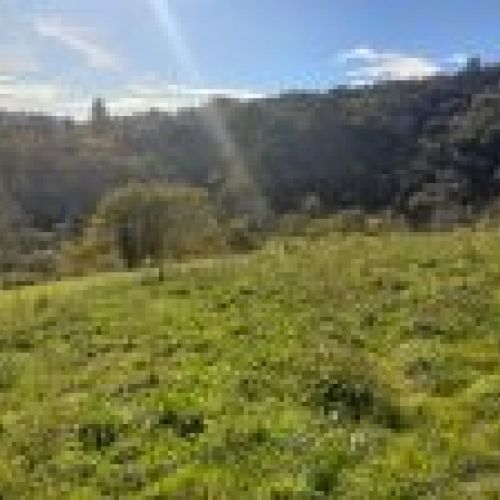 Finca edificable en CABRANES  (FIN