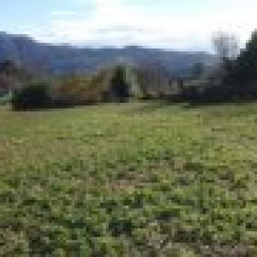 Finca edificable con una superficie de 970m2