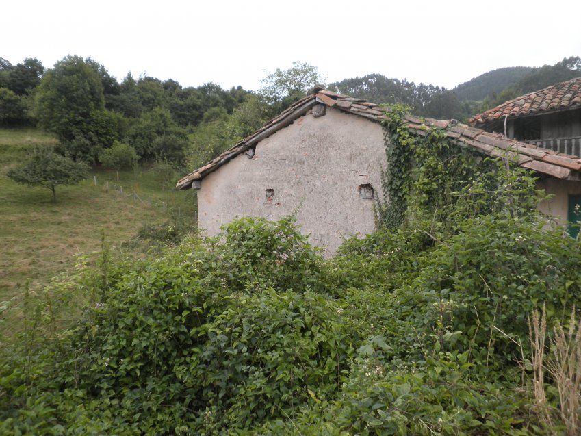 Venta de casa de piedra para reformar en Villaviciosa (REAB.0114)