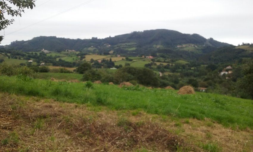 Casa de piedra para rehabilitar en VILLAVICIOSA  (REAB