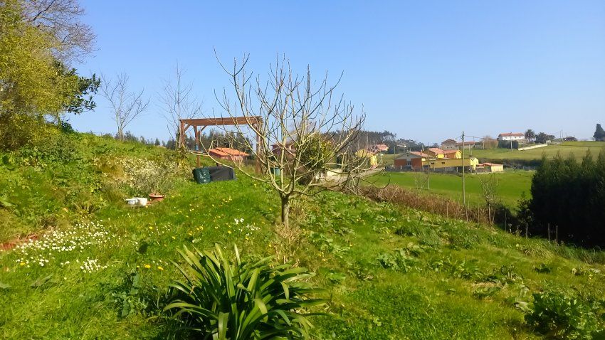Finca edificable de 630m2