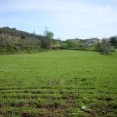 Venta de fincas edificables en El Puntal (VILLAVICIOSA)