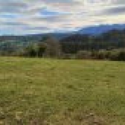 3 Fincas NO edificables en Tazones VILLAVICIOSA  (FIN
