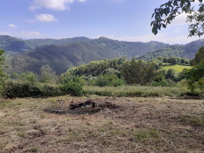 Casa de piedra para reformar en VILLAVICIOSA  (REAB