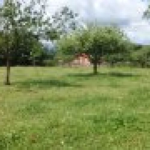 2 Fincas edificables en Selorio   VILLAVICIOSA  (FIN