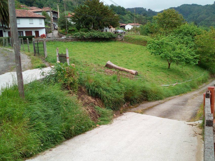 Finca edificable en CABRANES  (FIN