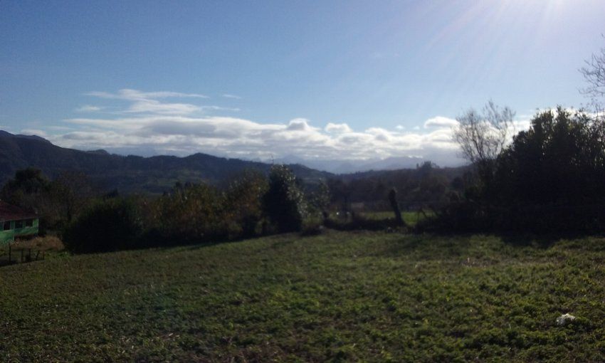 Finca edificable con una superficie de 970m2