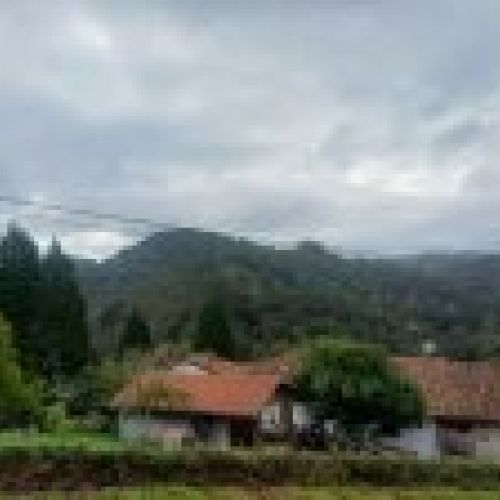 Finca edificable en CABRANES  (FIN