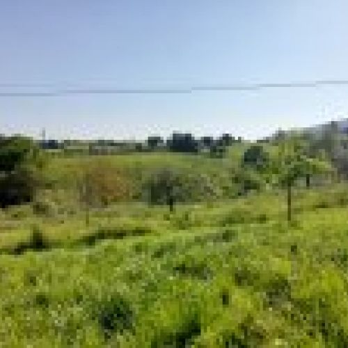 Finca edificable de 3