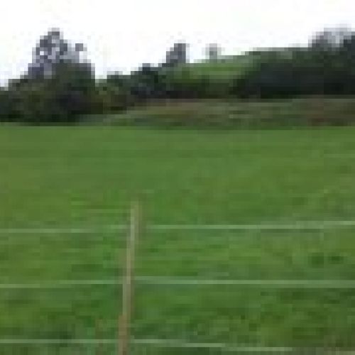 Finca edificable en VILLAVICIOSA  (FIN