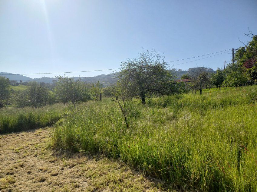 9dcf39d2daefb97e7463446c7b3042dae4085e08