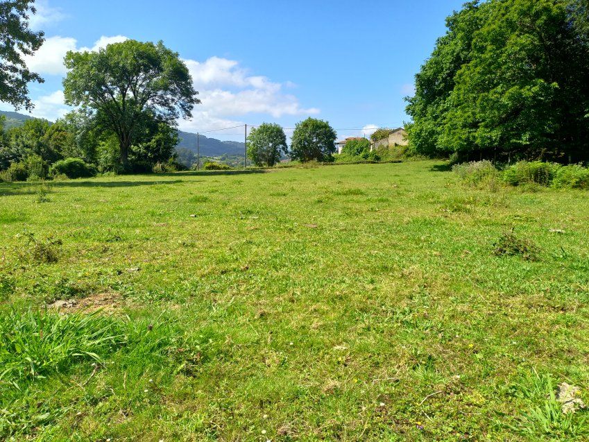 2 Fincas edificables en El Puntal   VILLAVICIOSA  (FIN