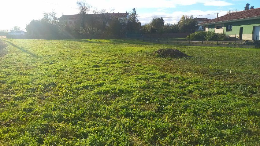 Finca edificable en Oles VILLAVICIOSA (FIN