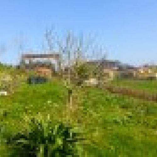 Finca edificable de 630m2