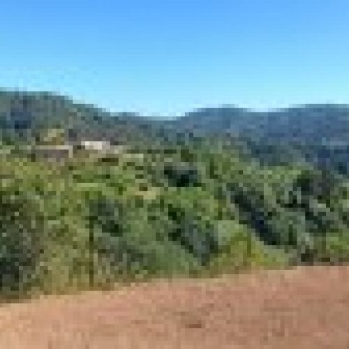 Finca Edificable y Llagar de piedra en VILLAVICIOSA  (FIN