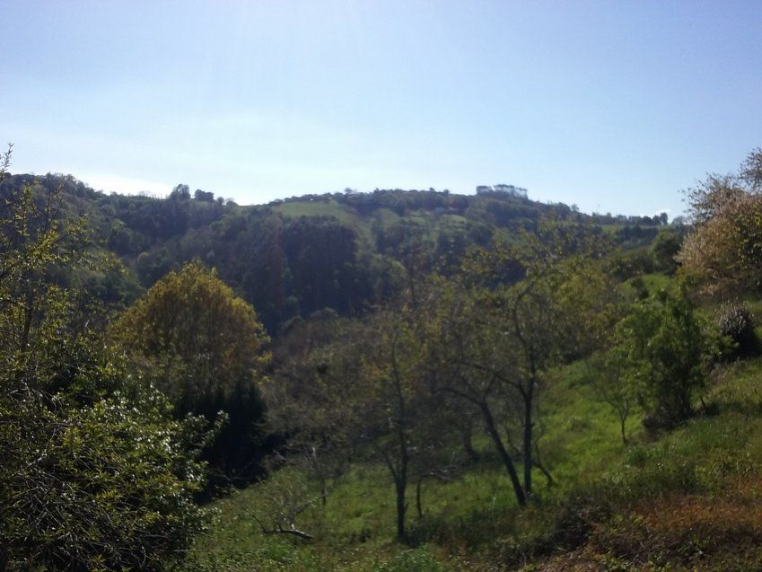 Casa de piedra para reformar en Villaviciosa (CAS