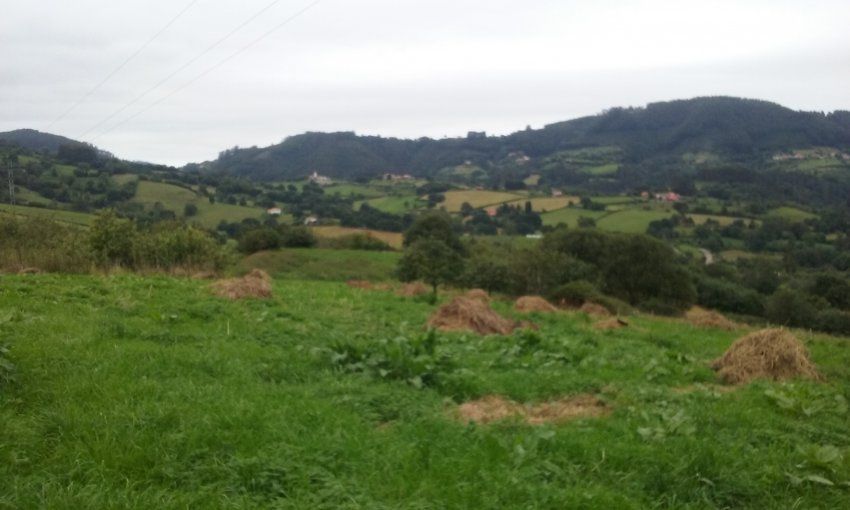 Casa de piedra para rehabilitar en VILLAVICIOSA  (REAB