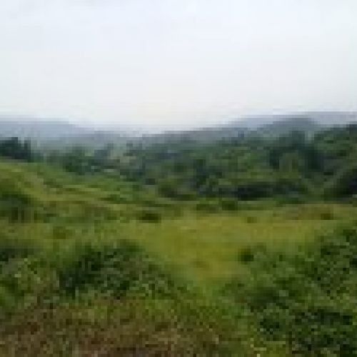 Finca con nave en VILLAVICIOSA  (FIN