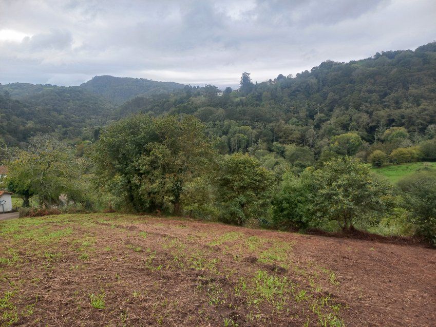 Finca edificable en CABRANES