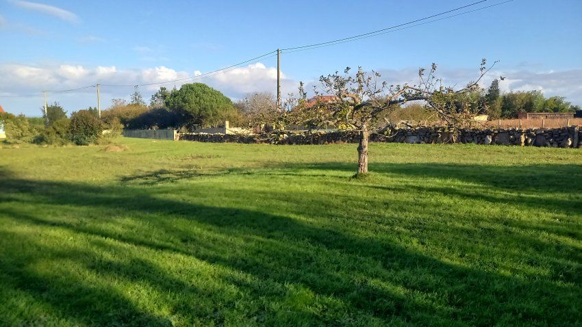 Finca edificable en Oles VILLAVICIOSA (FIN