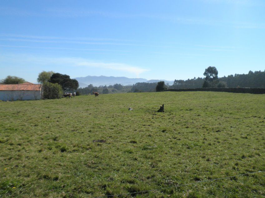 Venta de Fincas Edificables en OLES (VILLAVICIOSA)