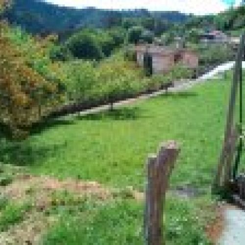 Finca edificable en CABRANES  (FIN