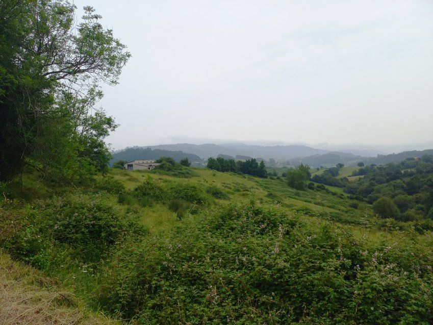 Finca con nave en VILLAVICIOSA  (FIN