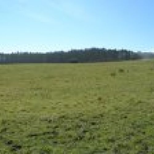 Venta de Fincas Edificables en OLES (VILLAVICIOSA)
