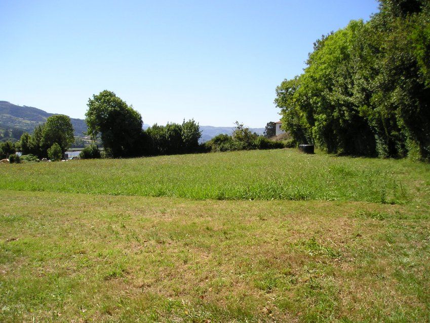 fincas san martin 004