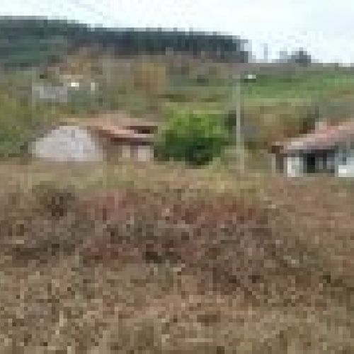 Finca edificable con Panera en Villaviciosa  (FIN