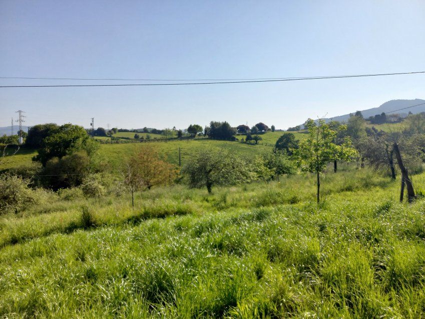 Finca edificable de 3