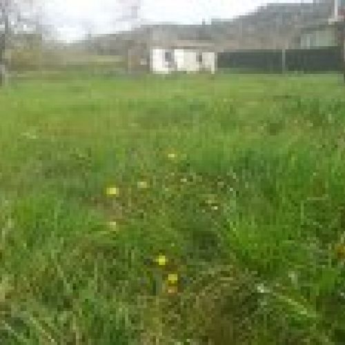 Finca edificable en Selorio   VILLAVICIOSA  (FIN