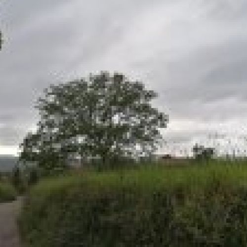 img 20240715 wa0011