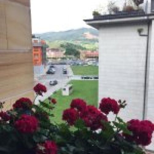 Piso de 2 dormitorios en VILLAVICIOSA  (PIS