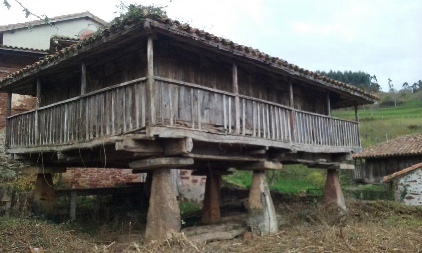 Finca edificable con Panera en Villaviciosa  (FIN.0122)