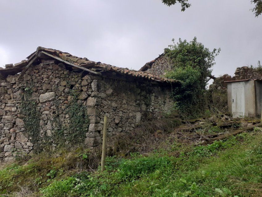 Casa, Cuadra y Llagar para rehabilitar en VILLAVICIOSA  (REAB