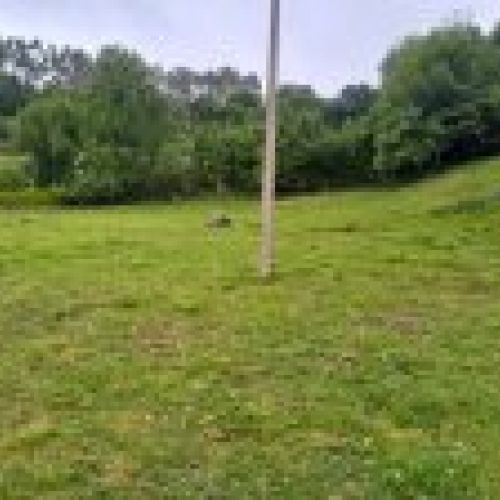 Finca edificable en CABRANES  (FIN