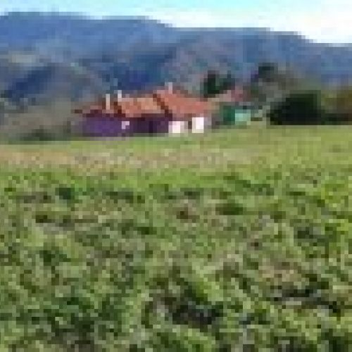 Finca edificable con una superficie de 970m2