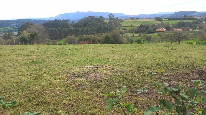 3 Fincas NO edificables en Tazones VILLAVICIOSA  (FIN