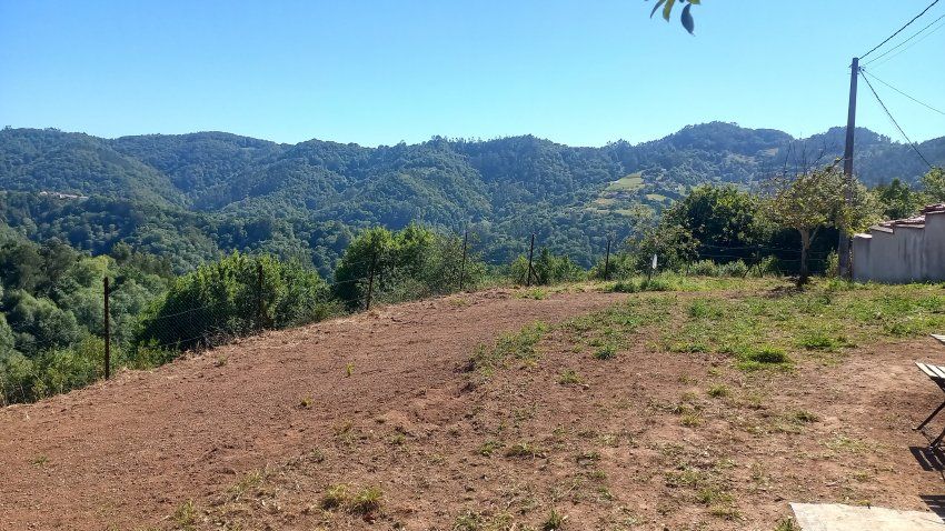 Finca Edificable y Llagar de piedra en VILLAVICIOSA  (FIN