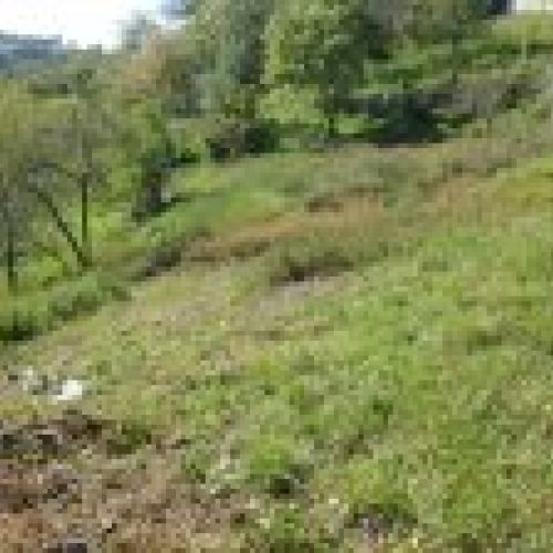 Casa de piedra para reformar en Villaviciosa (CAS