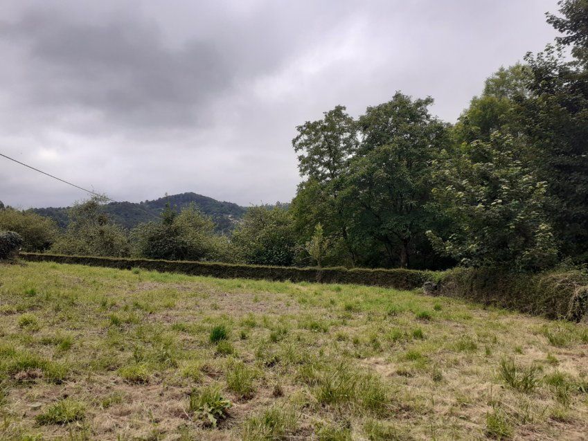 Finca edificable y Cuadra en CABRANES  (FIN
