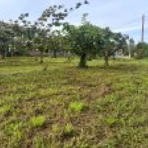 Finca edificable en Selorio   VILLAVICIOSA  (FIN