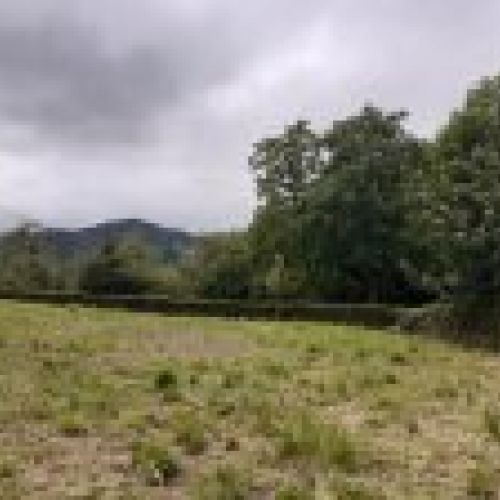 Finca edificable y Cuadra en CABRANES  (FIN