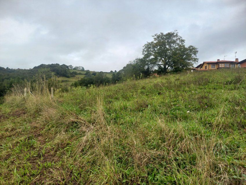 17d8309c010c06b6b330aa437ec070c94fd31fc4