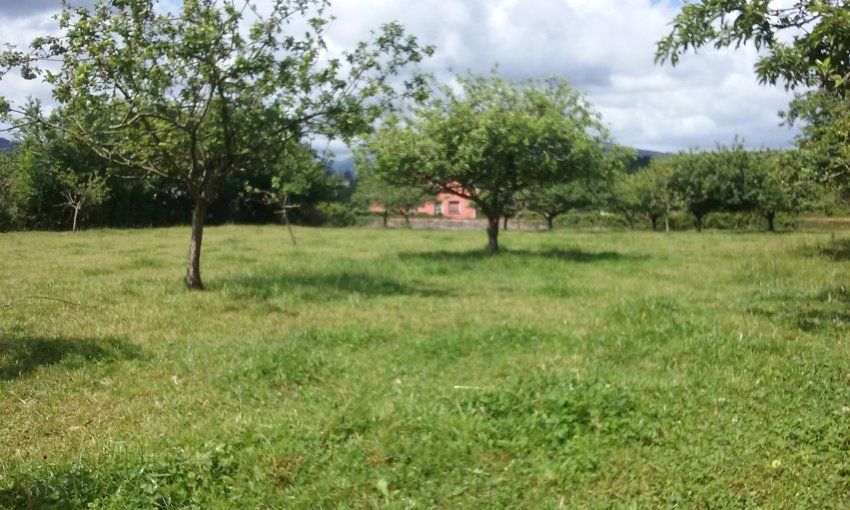 2 Fincas edificables en Selorio   VILLAVICIOSA  (FIN