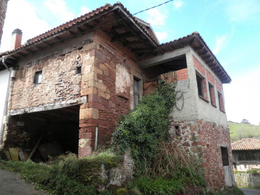 P1010005