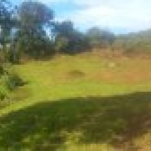 Finca edificable en El Puntal   VILLAVICIOSA (FI